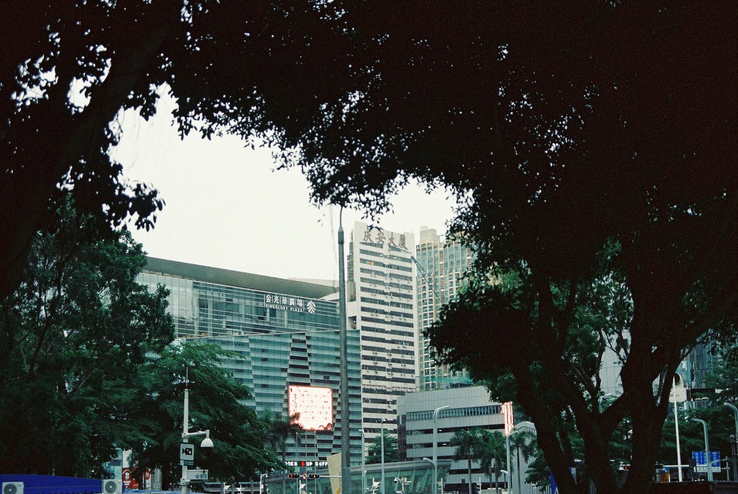 Kodak Vision 3 500T 5219